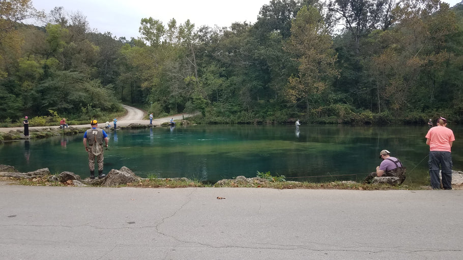 Fishing Report 10/30/2019