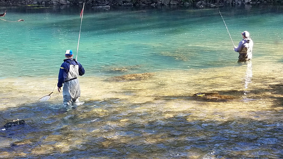 Fishing Report 10/17/2019