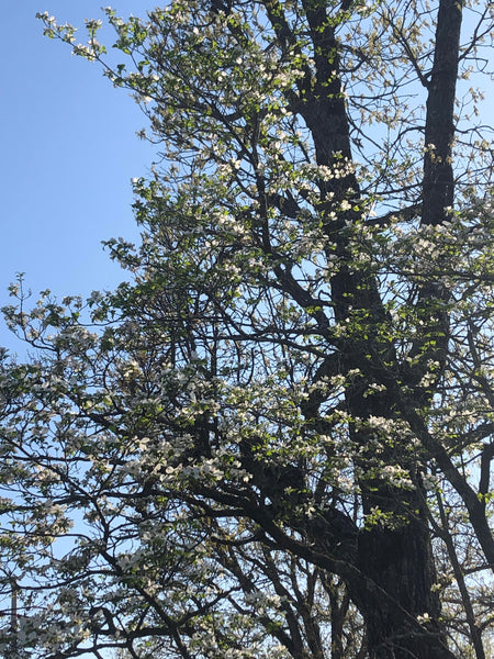 Fishing Report 04/29/2022