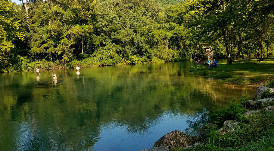 Fishing Report 8/14/2019