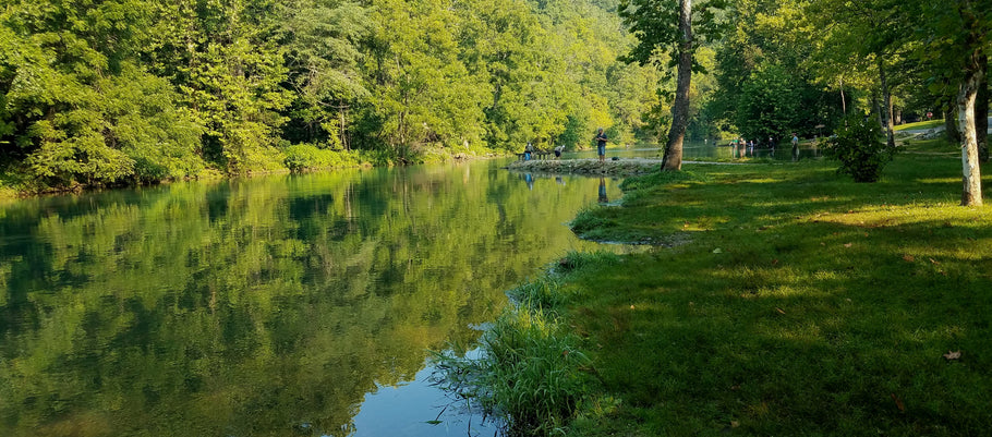 Fishing Report 8/20/2019