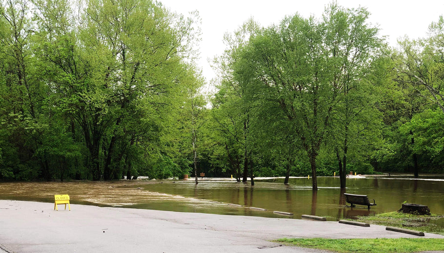 Update Fishing Report 5/1/2019