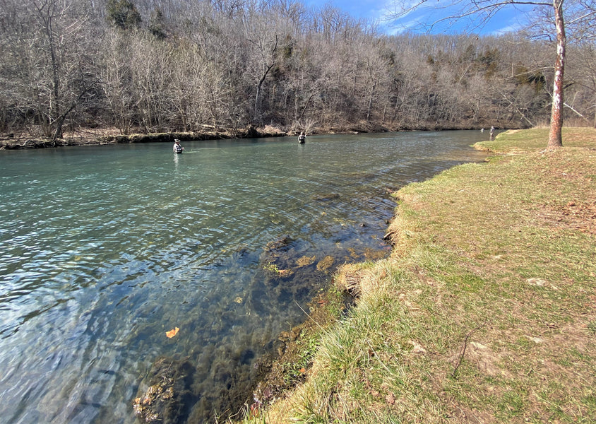 Fishing Report 3/15/2021