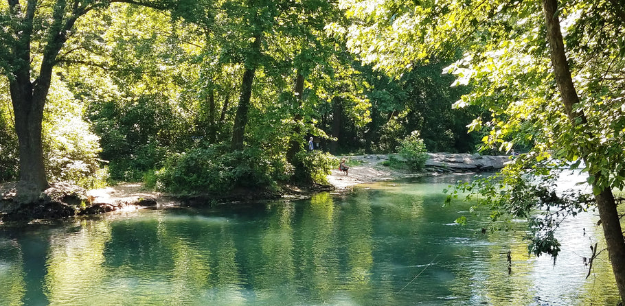 Fishing Report 8/1/2019