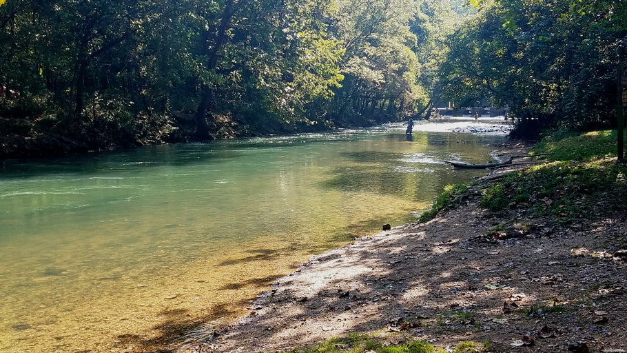 Fishing Report 9/19/2019