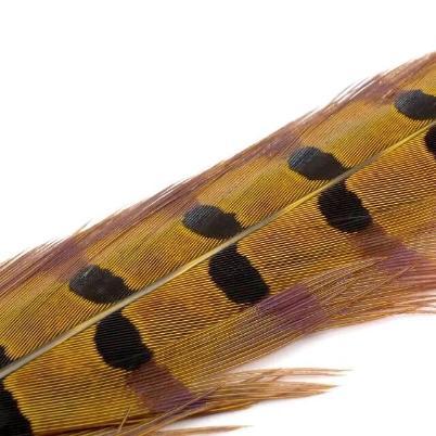 Wapsi Pheasant Ringneck Tail Feathers