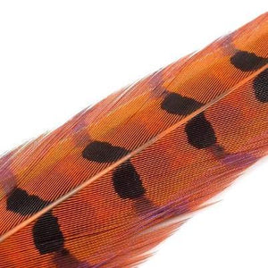 Wapsi Pheasant Ringneck Tail Feathers