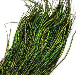 Peacock Herl Strung
