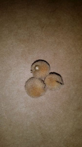 Tan Glo Ball Mini Jig