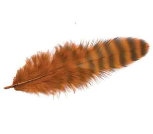 Grizzly Soft Hackle
