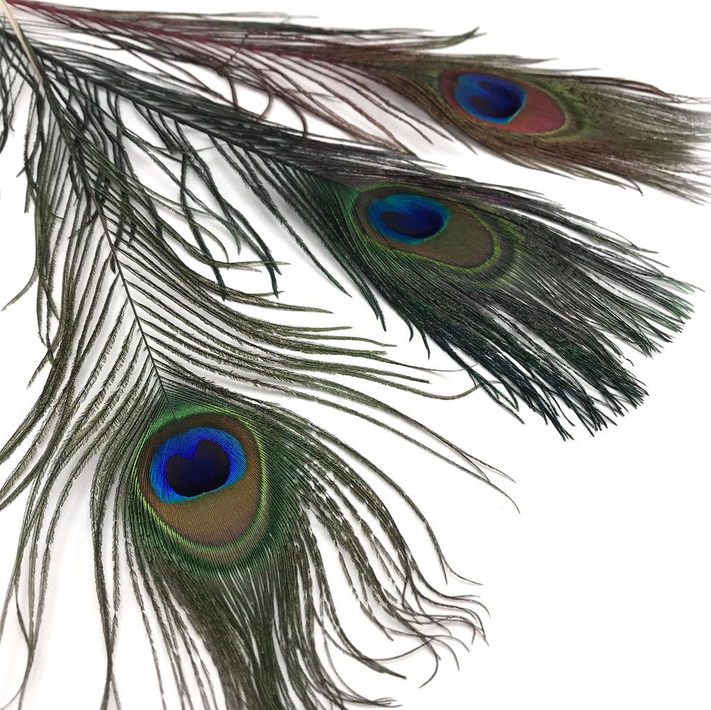 Hareline Dubbin Peacock Eyed Sticks