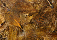 Load image into Gallery viewer, Hareline Dubbin Hungarian Partridge Feathers